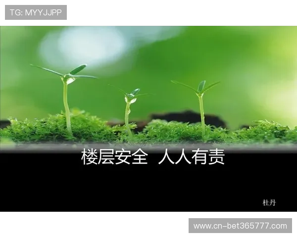 详细介绍365日博手机官方地址的官方安全通道保障您的账号信息安全无忧