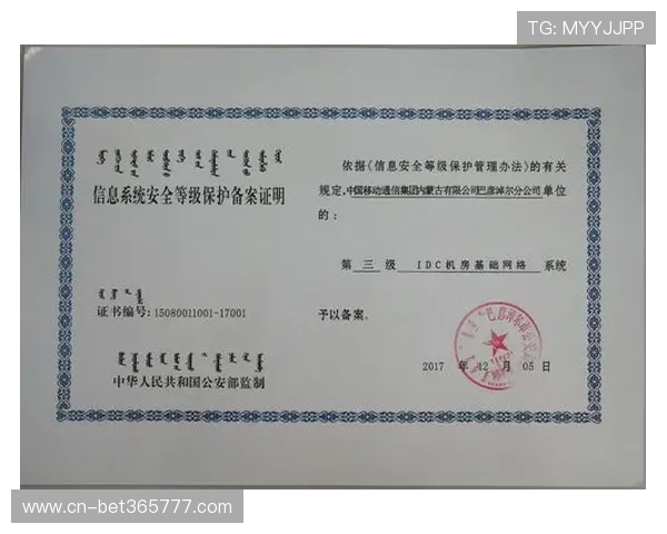 365日博备用网址上线时间大揭秘,带你了解平台的安全保障和高效运营机制