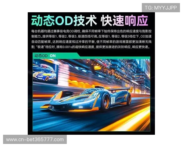OD体育旗舰厅安全登录与账号保护措施，确保用户账户信息安全的详细方案